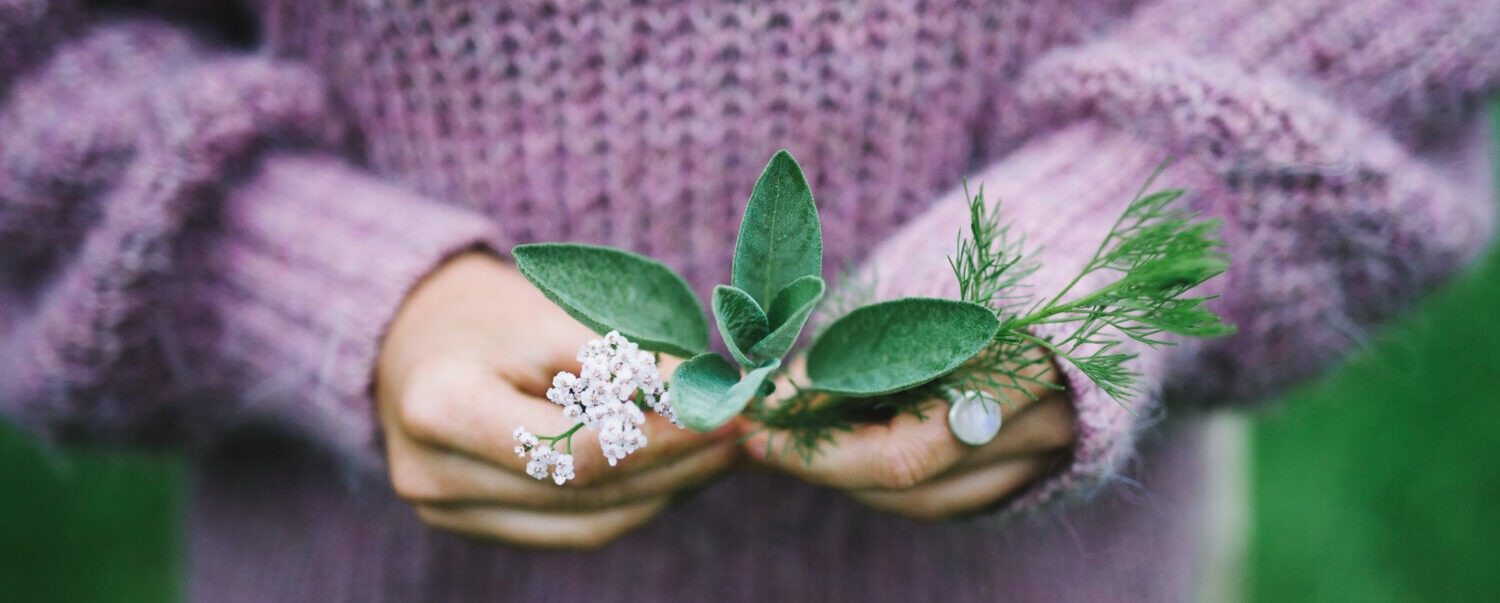 Ana Hata Heilpflanzen