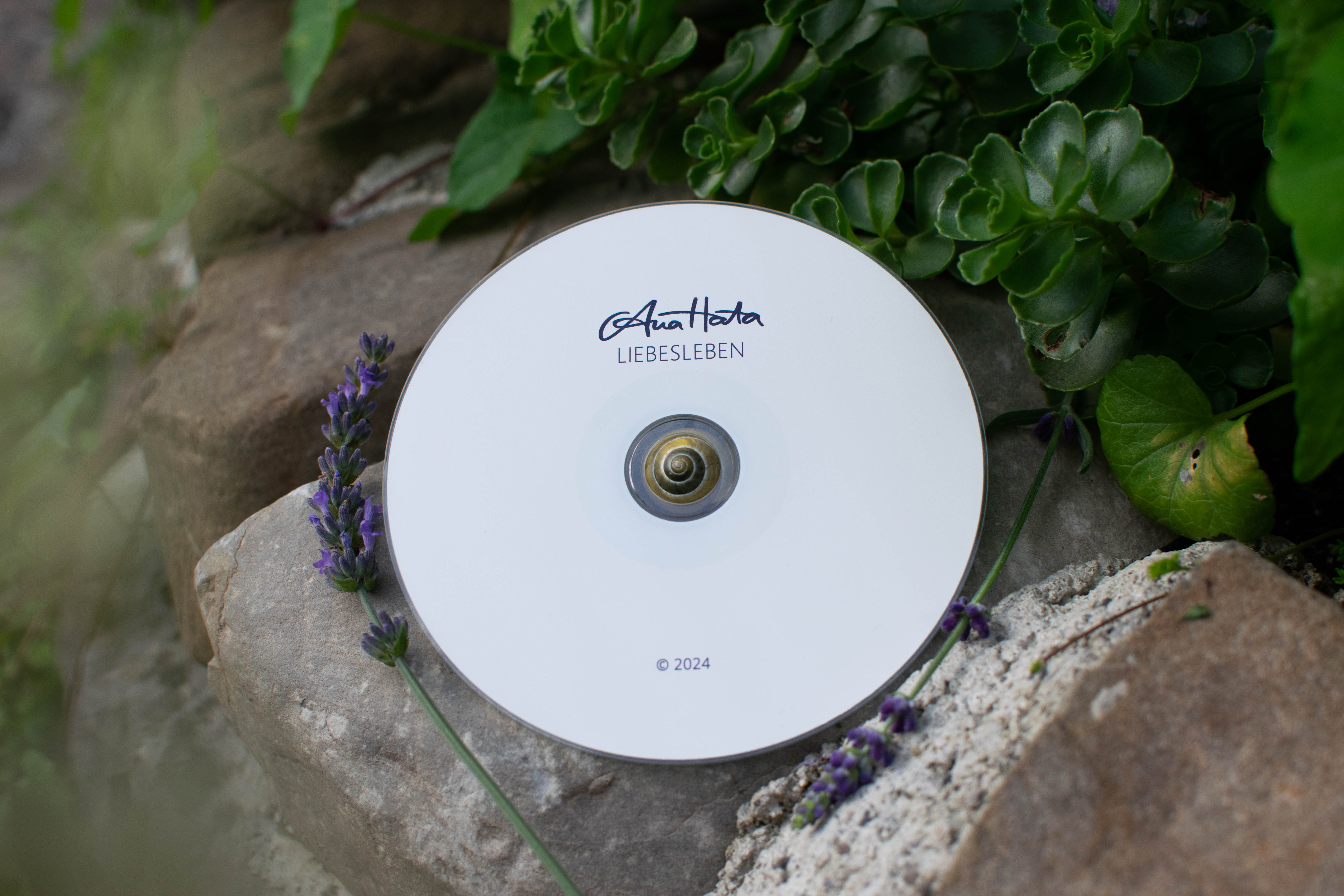 CD Liebesleben – Bild 4